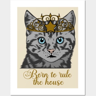 Kitten Rule House Posters and Art